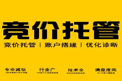 SEM主管实战案例：广告投放策略优化